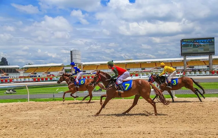 Bí Kíp Tìm Hiểu Cá Cược Đua Ngựa 88Goals Thắng Lớn Mỗi Ngày 2 Bí Kíp Tìm Hiểu Cá Cược Đua Ngựa 88Goals Thắng Lớn Mỗi Ngày