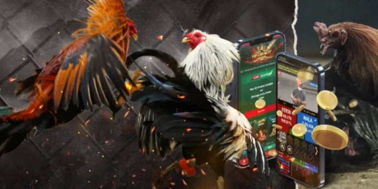 Hướng Dẫn Chi Tiết Cách Chơi Đá Gà GA28 Tại 88Goals Siêu Tốc 2 Hướng Dẫn Chi Tiết Cách Chơi Đá Gà GA28 Tại 88Goals Siêu Tốc